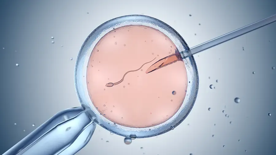 Fertility Treatments