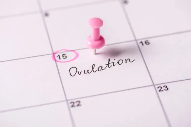 Is One Ovulation Tracking Method Better Than Another? 